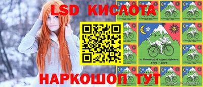гидропоника Можайск