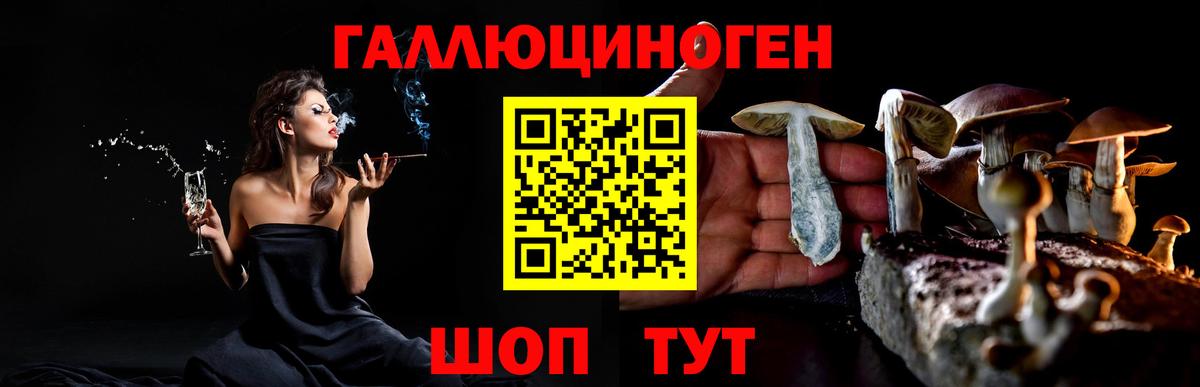 Южноуральск  Псилоцибиновые грибы мухоморы  как найти закладки  Вход с VPN  Псилоцибиновые грибы Magic Shrooms 